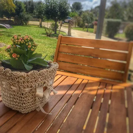 Aloni Costarella Masseria Borgagne